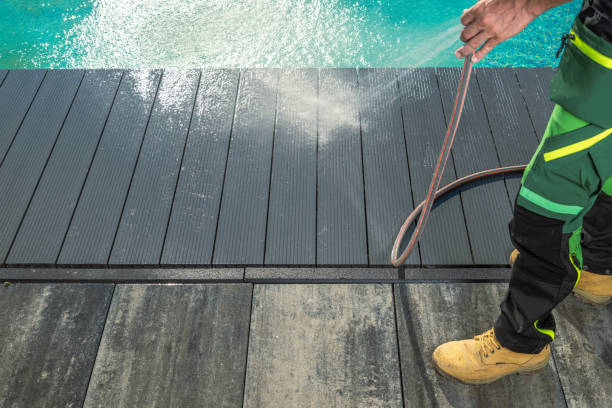 Best Exterior Home Cleaning  in Rio Grande City, TX