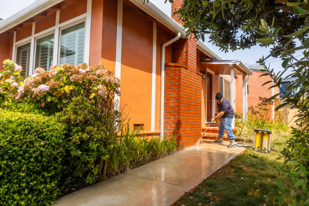 Best Local Pressure Washing Services  in Rio Grande City, TX