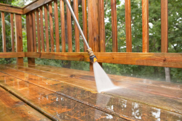 Best Commercial Building Pressure Washing  in Rio Grande City, TX