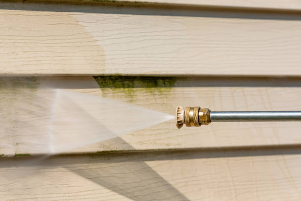 Deck Cleaning Services in Rio Grande City, TX