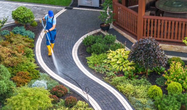 Best Power Washing Near Me  in Rio Grande City, TX